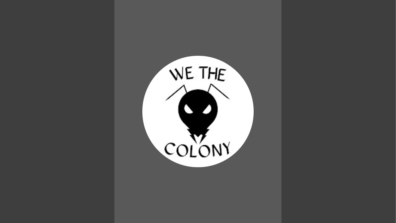 We The Colony Studios is live!