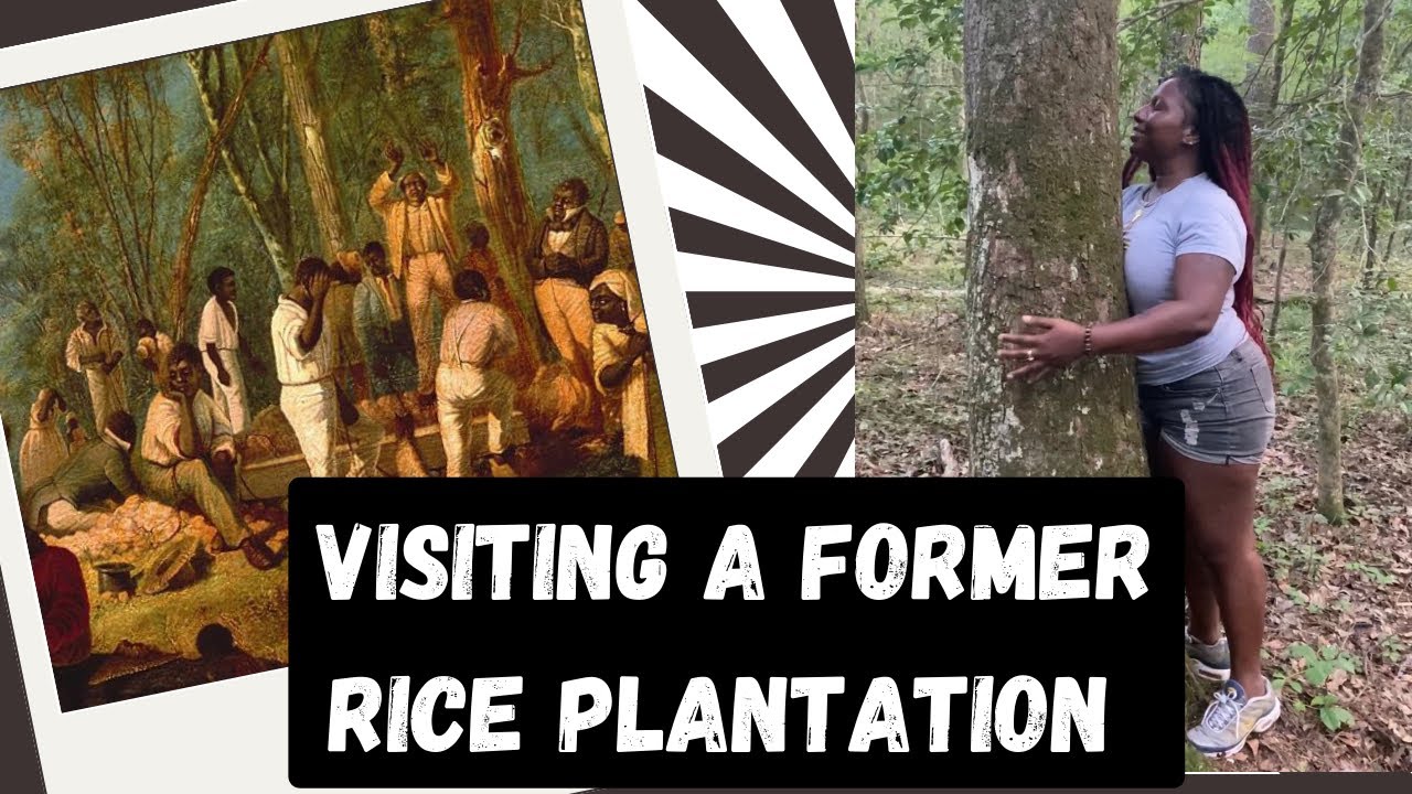 We visited a former rice plantation in Charleston!