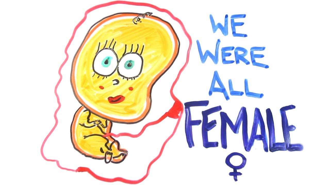 We were all female
