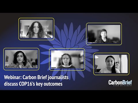 Webinar: Carbon Brief journalists discuss COP16's key outcomes