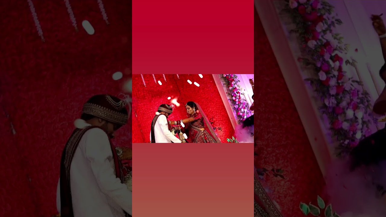 #wedding_clips #stage_jaimala #lifepartner