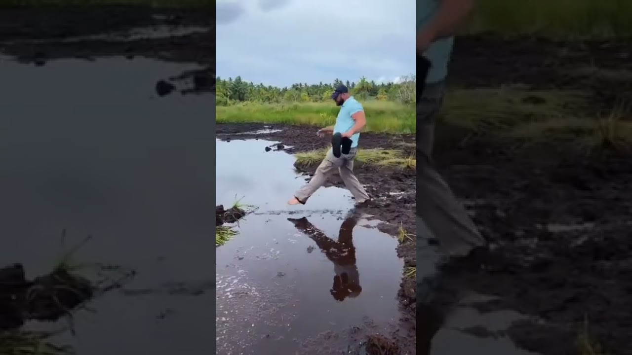 Wee 😂 foryou foryoupage 4u wee funnyvids2k21 animals tiktok fail meme viral fyp