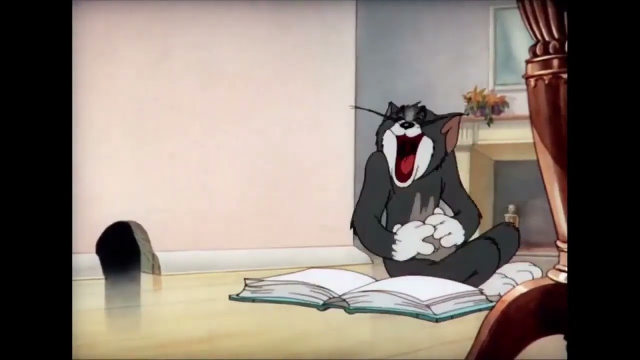 Weird Laws in the world ( Tom laughing at book meme)