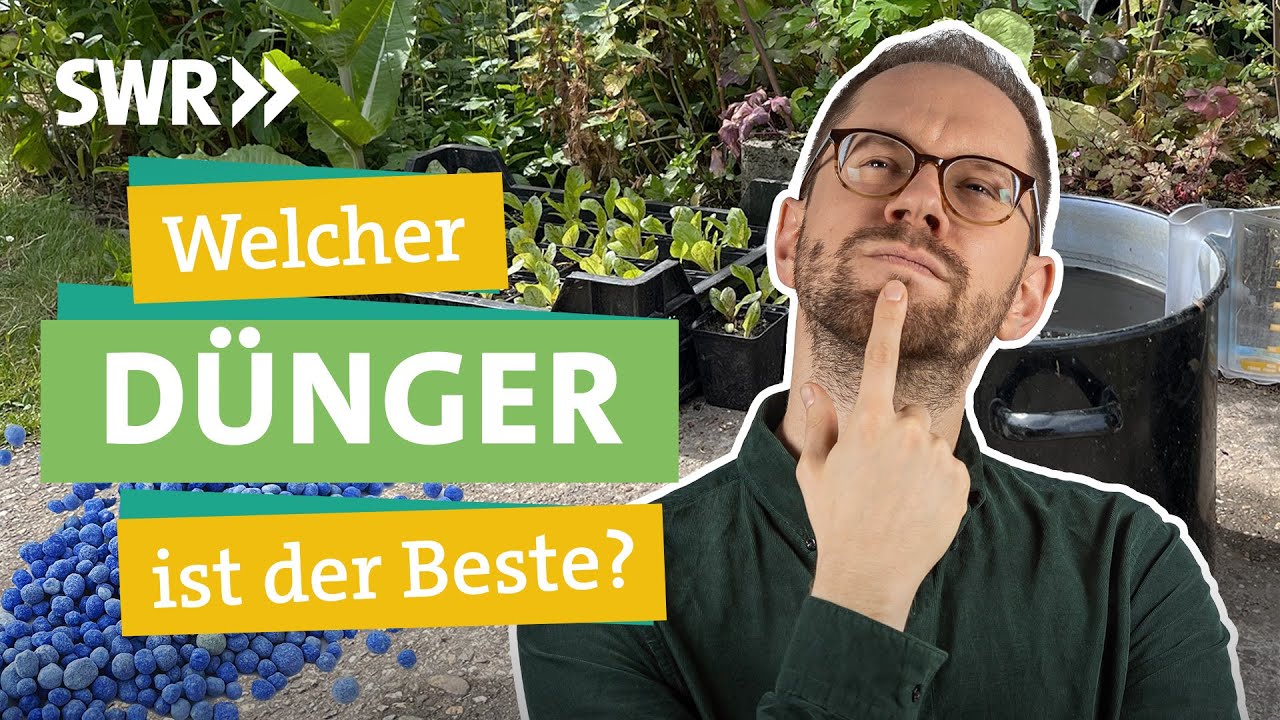 Welcher Dünger ist am besten? Organisch, mineralisch, fest, flüssig oder DIY I Ökochecker SWR