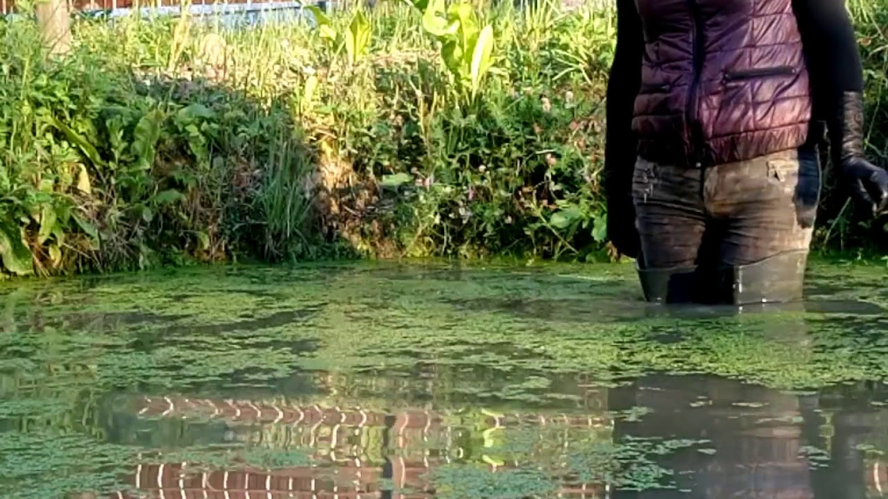 WetLook 69