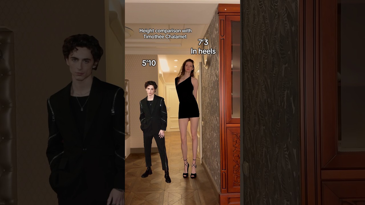 What a height difference! #fyp #timotheechalamet #height #comparison #tall #giant #girl #model #cute