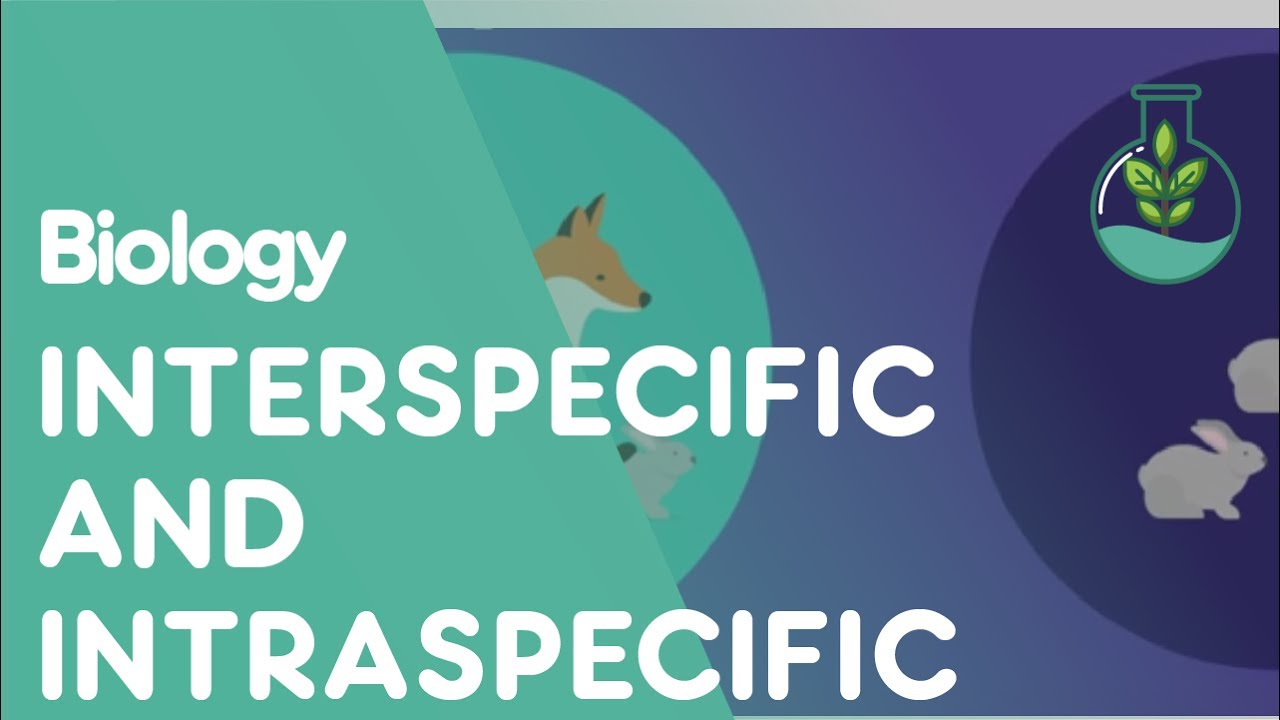 What Are Interspecific & Intraspecific Interactions | Ecology & Environment | Biology | FuseSchool
