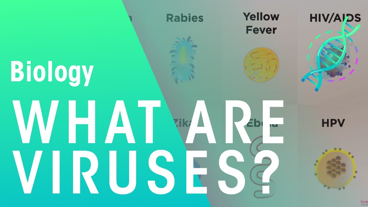 What are viruses | Cells | Biology | FuseSchool