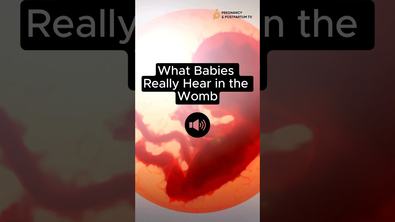 👂What Babies HEAR In WOMB (Sound ON 📣) #fetus