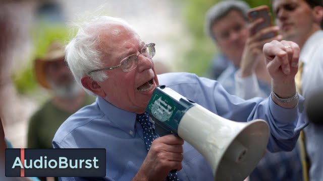 What Bernie Sanders Said Before Getting The Mike Pulled From Him By Black Lives Matter Activists
