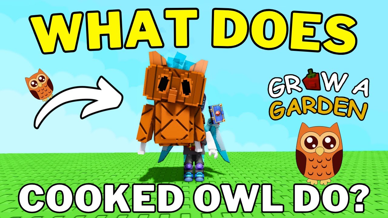 What Does Cooked Owl 🦉 Do in Grow A Garden | How To Get Cooked Owl Pet in Grow A Garden | Roblox