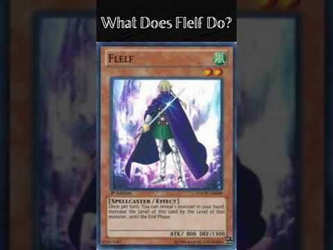 What Does Flelf Do?