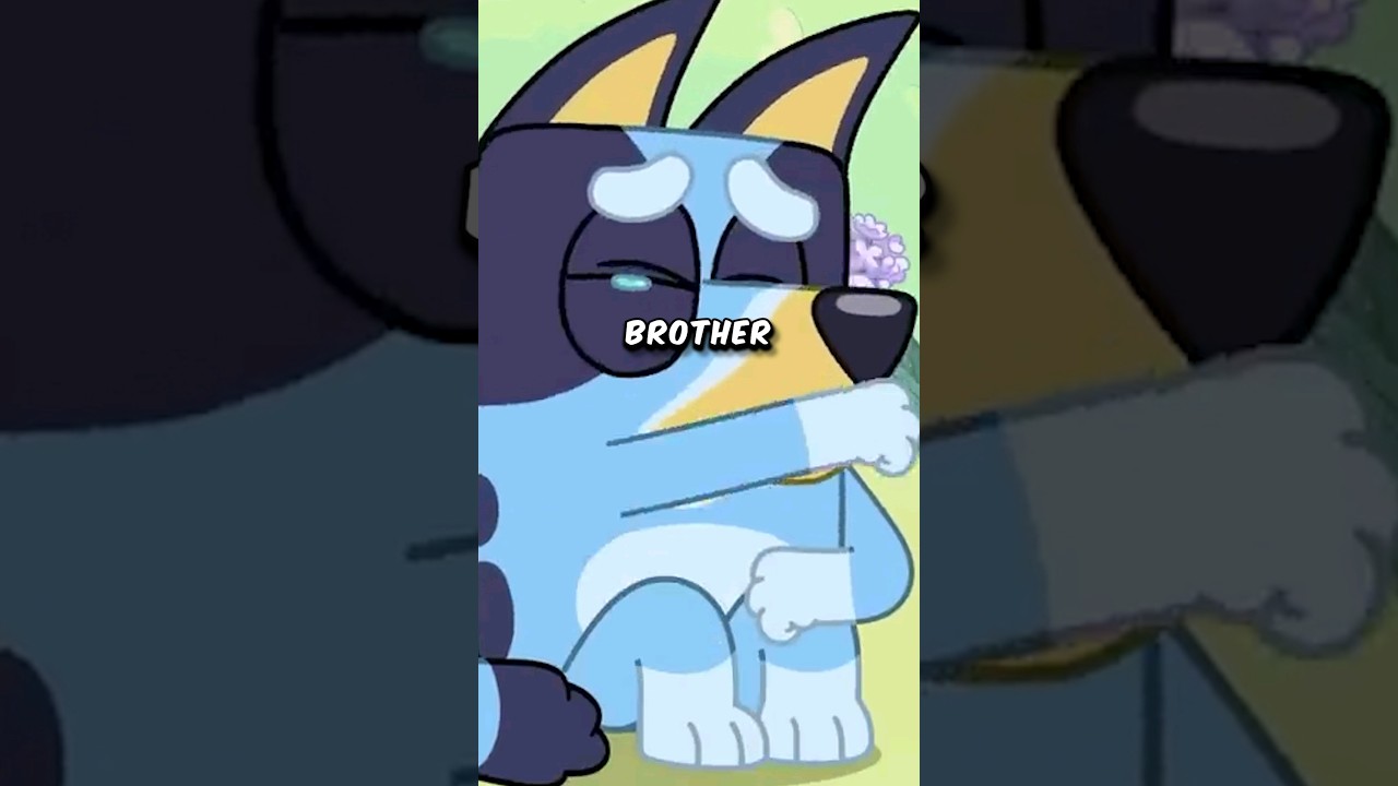 What Happened to Bluey's Older Brother? #shorts #bluey