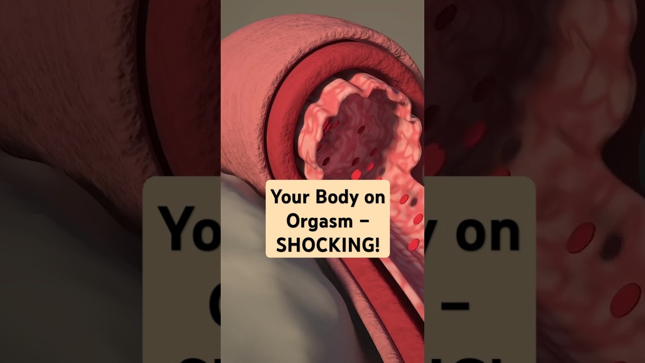 What happens during orgasm