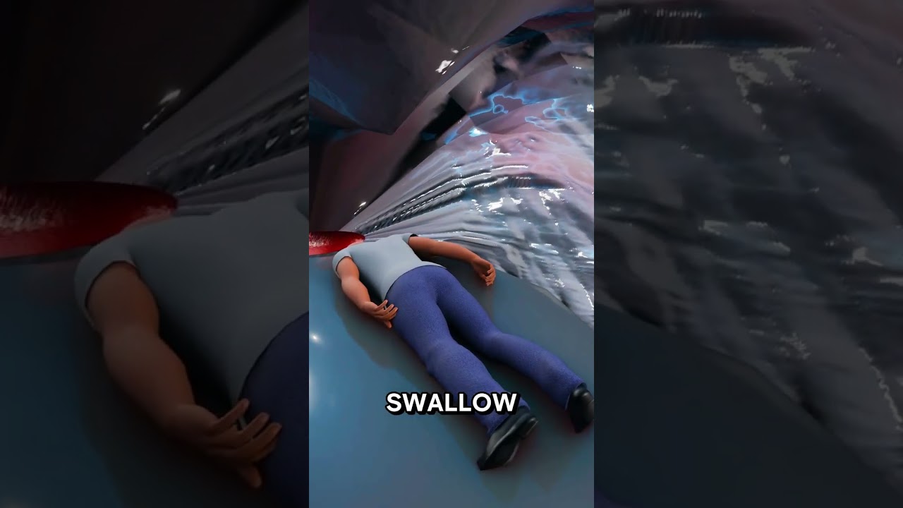 What if you get swallowed by a Whale