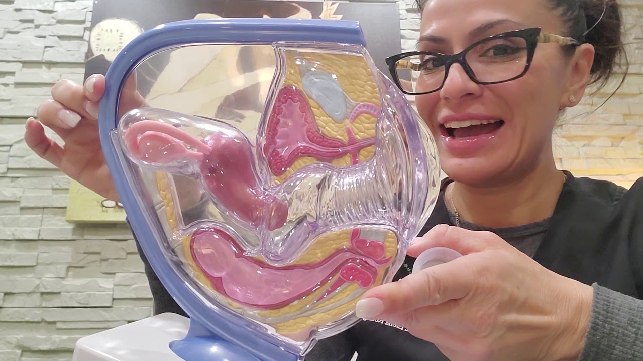 What is a DIVA cup and why every woman should have one