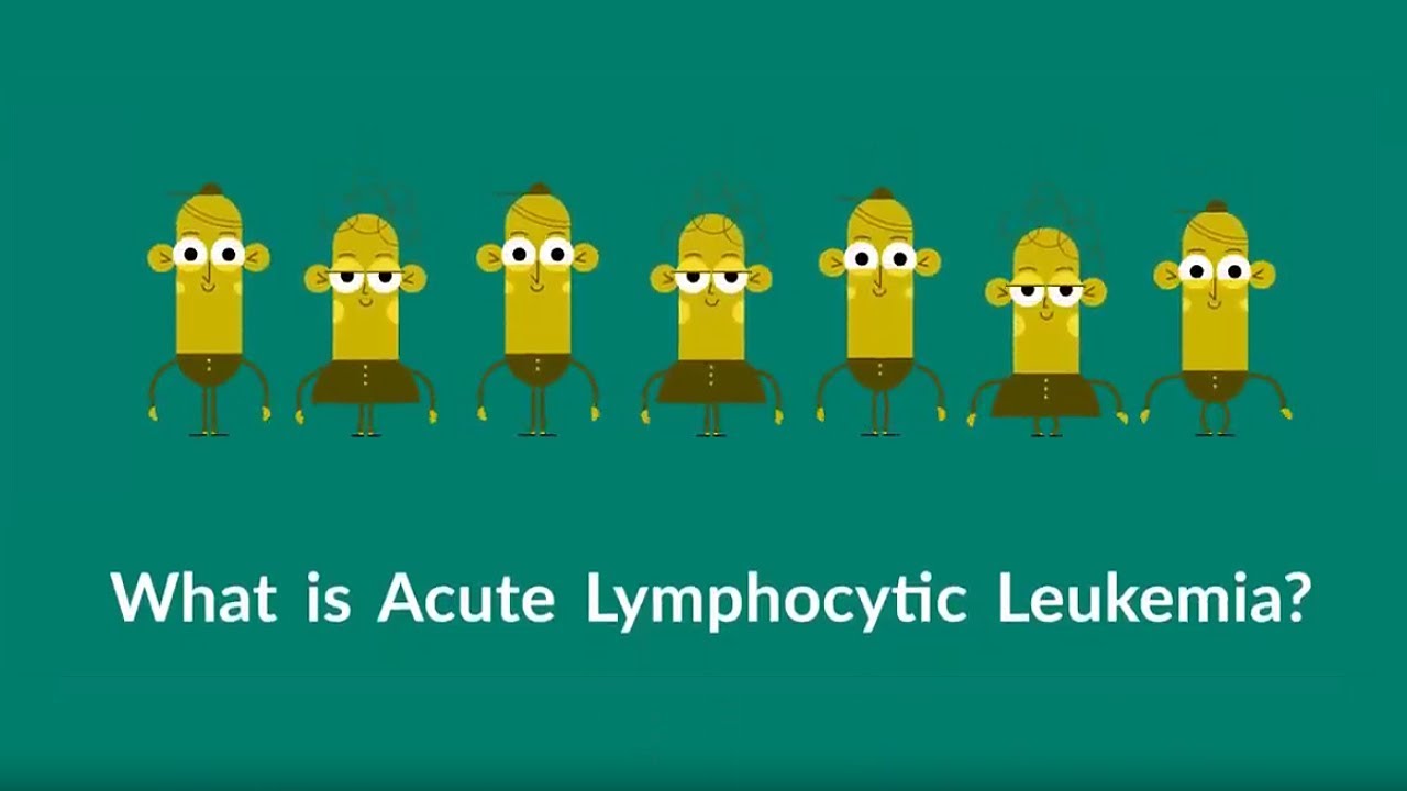 What is Acute Lymphocytic Leukemia? (Symptoms, Causes, Treatment, Prevention)