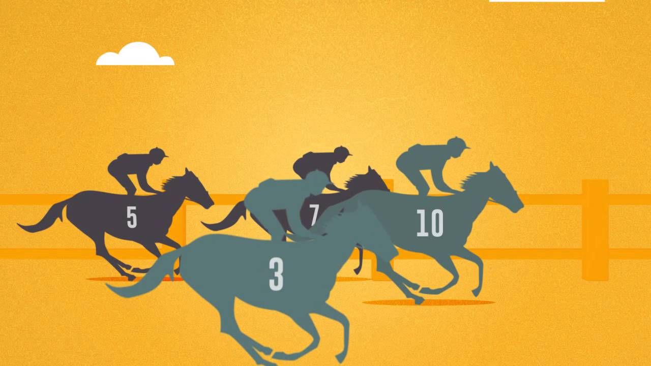 What is an Exacta?
