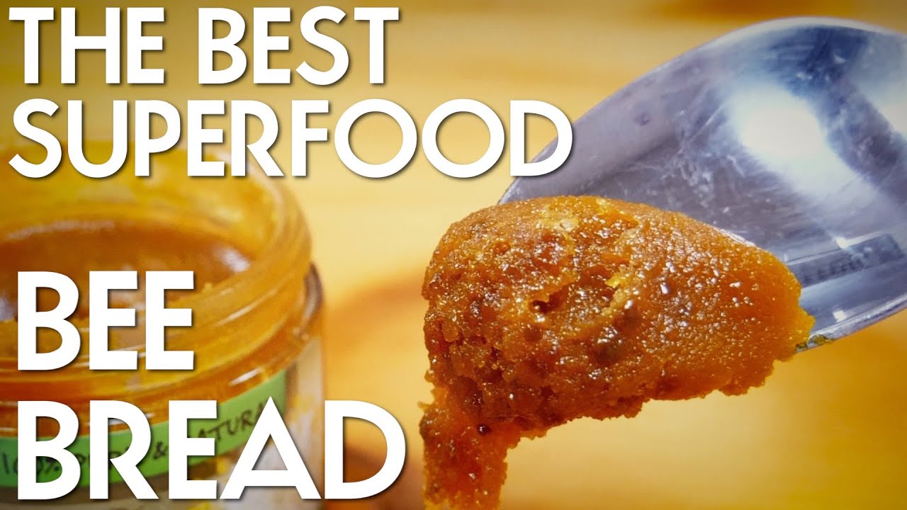 WHAT IS BEE BREAD AND WHY IT'S ONE OF THE MOST POWERFUL SUPERFOODS | PRIMAL EATS