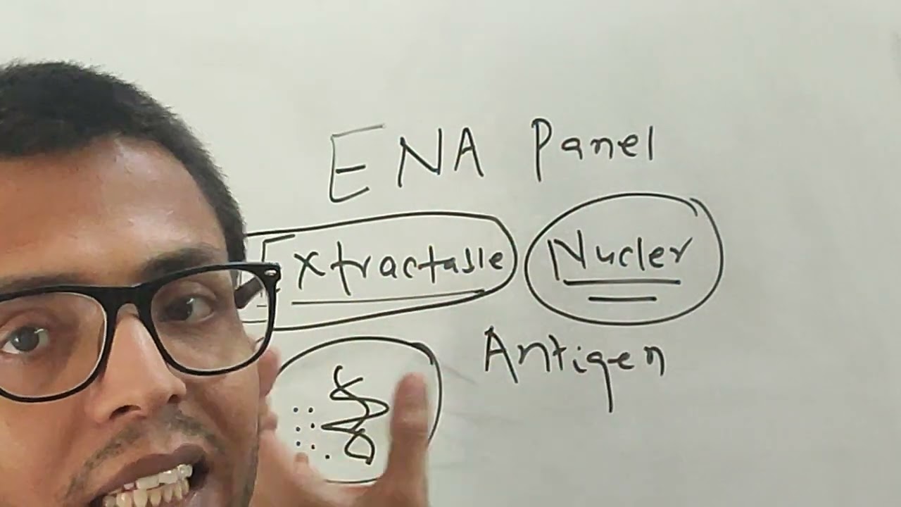 what is ENA panel test? what is extractable nuclear antigen panel test?