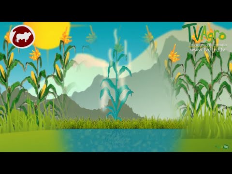What is Evapotranspiration? - TvAgro by Juan Gonzalo Angel
