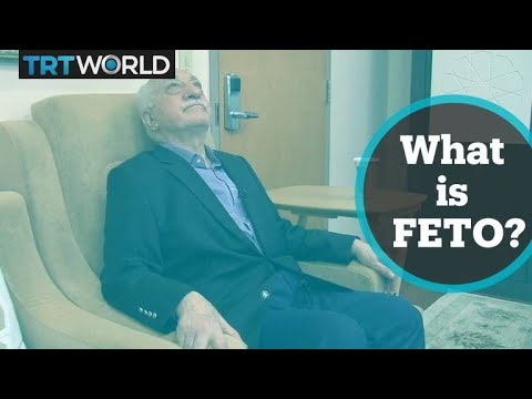 What is FETO?
