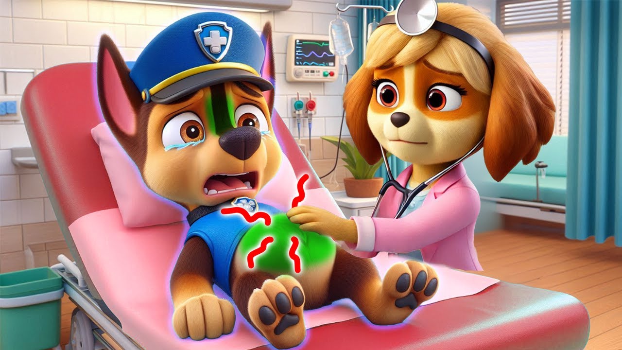 What Is Going On To CHASE?? SKYE Please Support Him!! - Funny Story | Paw Patrol The Mighty Movie
