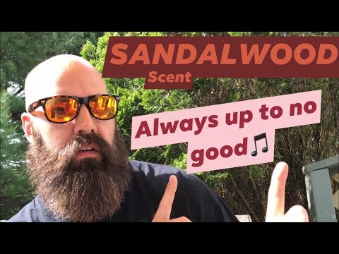 What is Sandalwood Scent ⚡️