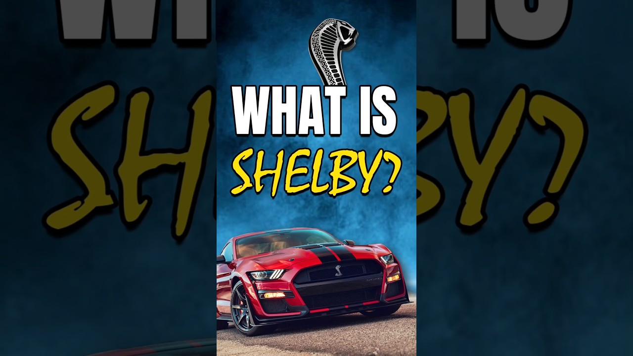 What is Shelby?