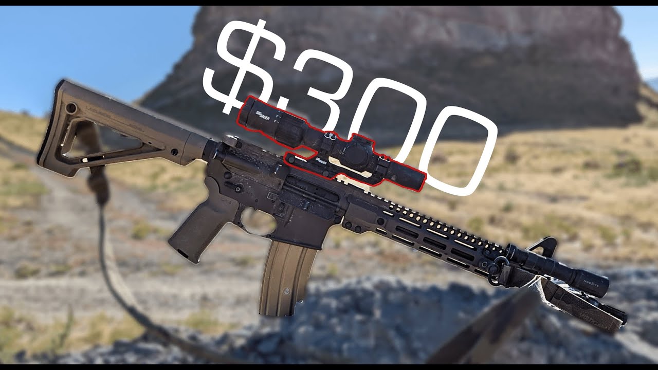 What Is The Cheapest LPVO Worth A Damn | Sig MSR 1-6x