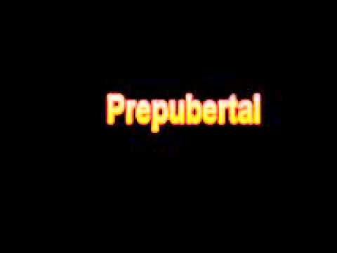 What Is The Definition Of Prepubertal Medical School Terminology Dictionary