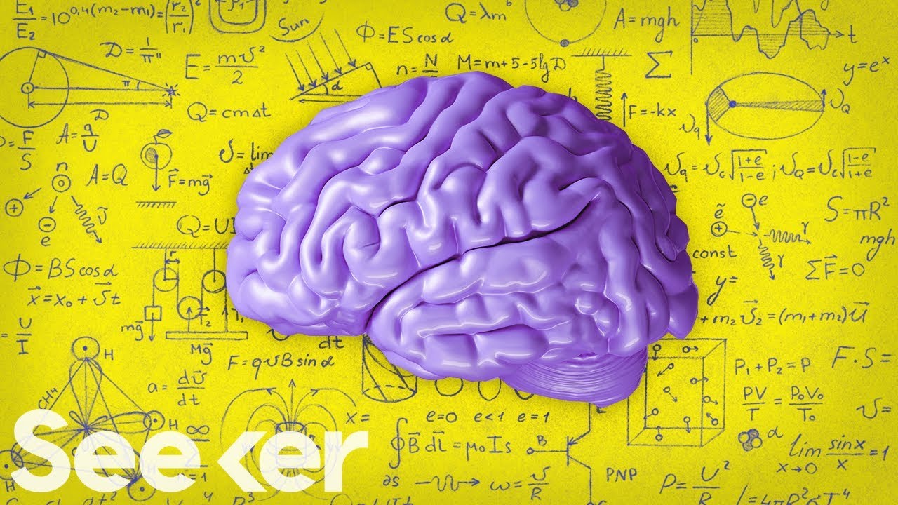 What Is the Difference Between Teen and Adult Brains?