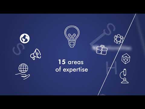What is Y SCHOOLS?