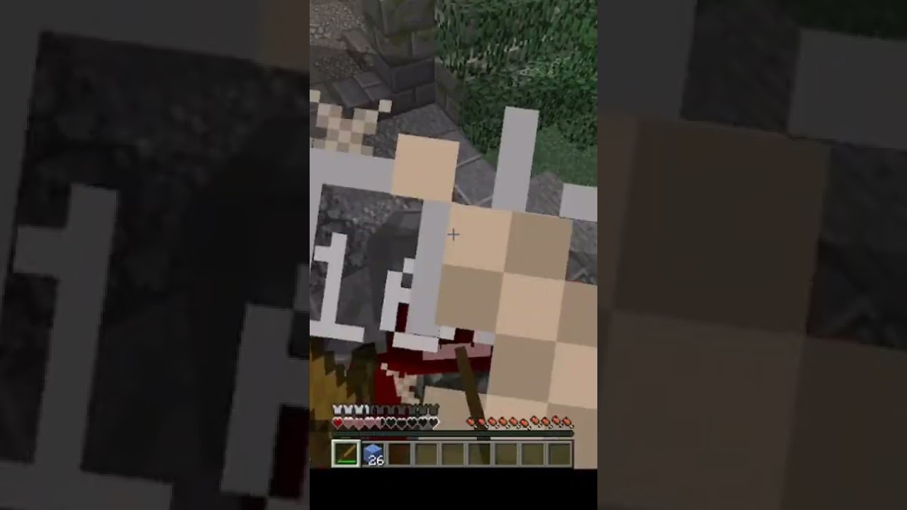 what is your name meme in Minecraft||#shorts #minecraft #premoon