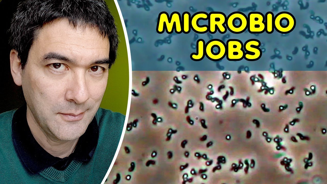 What jobs can I do with a Microbiology degree?