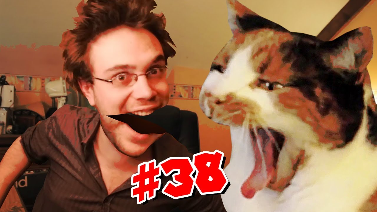 WHAT THE CUT #38 - CHAT QUI ROTE