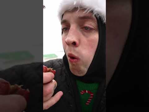 What to drink Jägermeister with