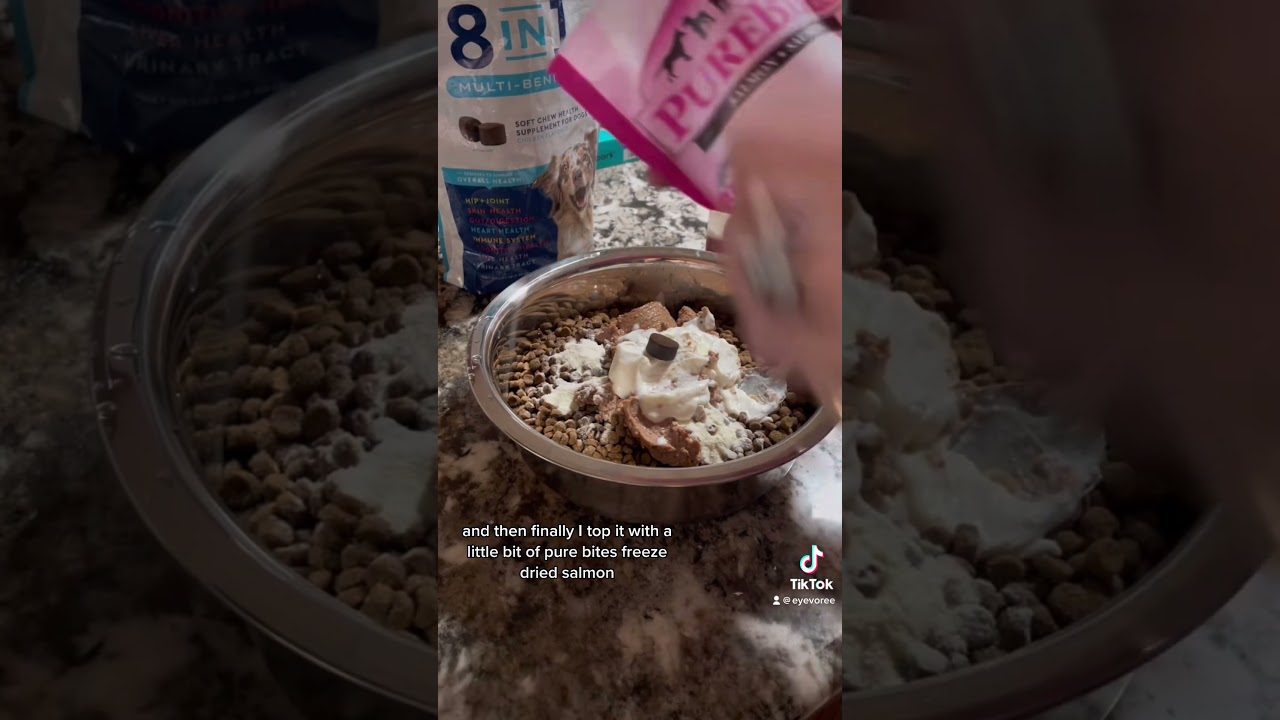 What we feed nursing mama dog (she’s also underweight from starving for so long)