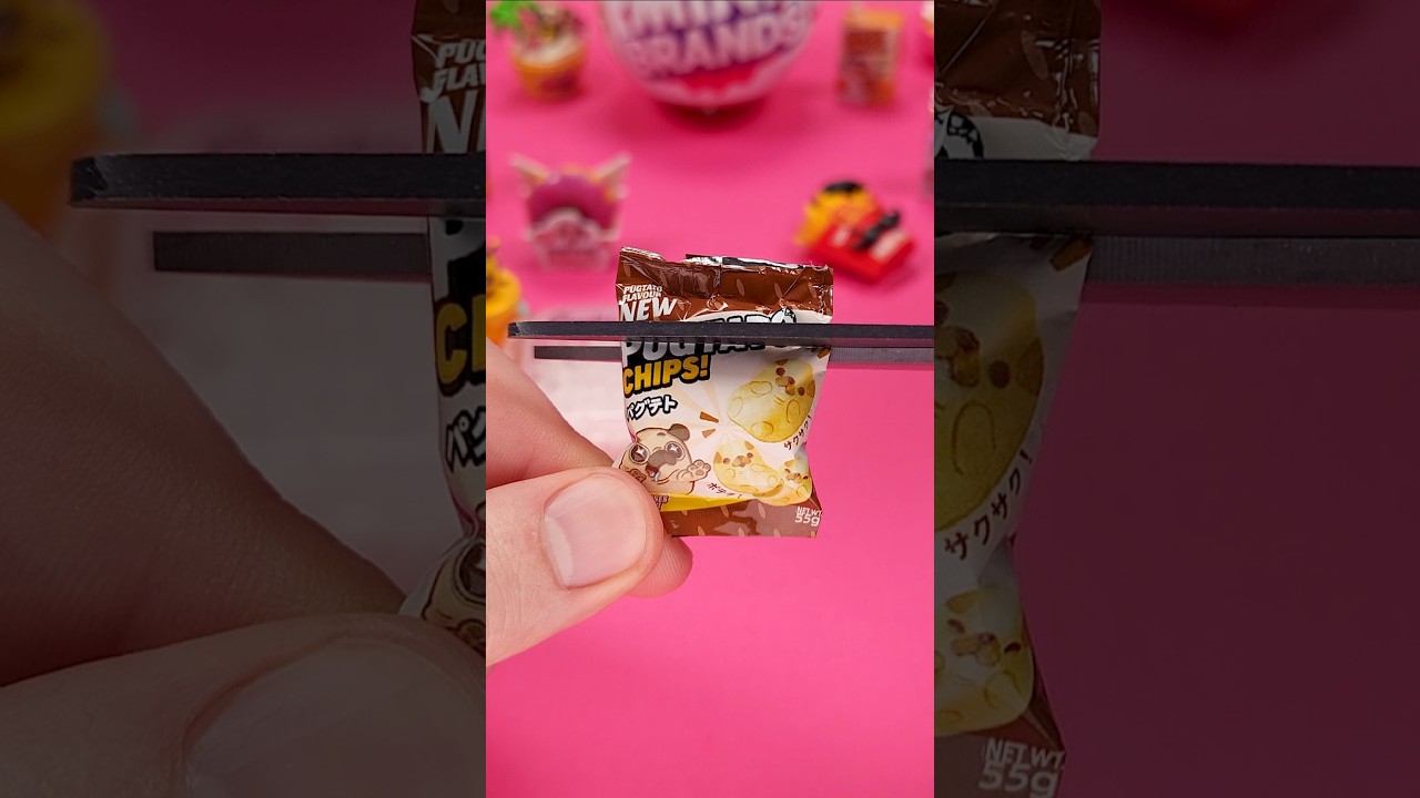 What's Inside The Bag Of Pugtato Chips From The Mini Brands Kawaii! #whatsinside #minibrands #kawaii