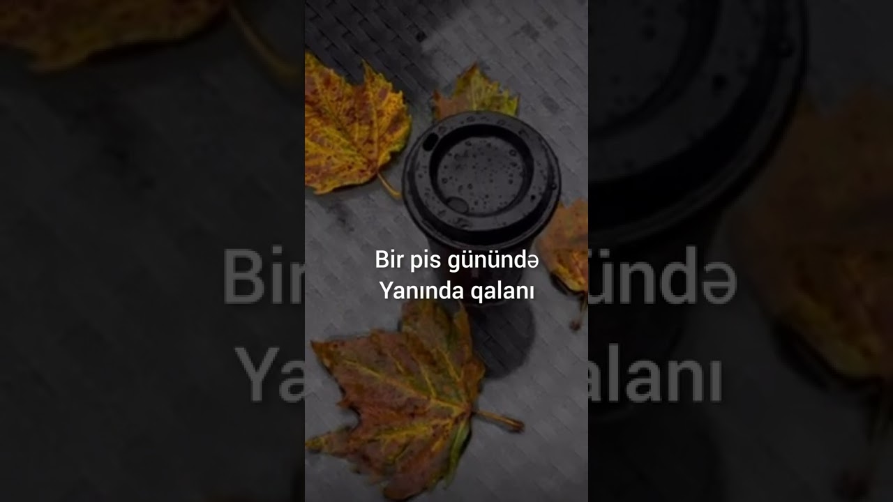 Whatsap üçün maraqlı videolar,mənalı statuslar 2022👍