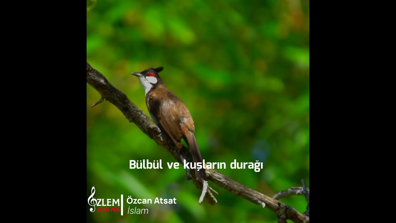 Whatsapp Durum Video Kürtçe İlahi