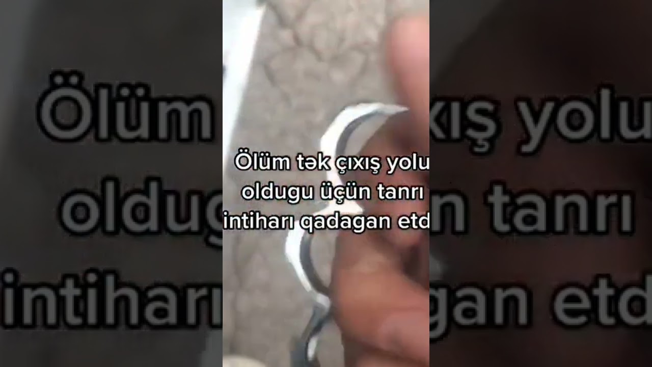 🕊️💫WhatsApp üçün qemli statuslar, status üçün videolar QEMLİ WHATSAPP STATUSLARI  #shorts