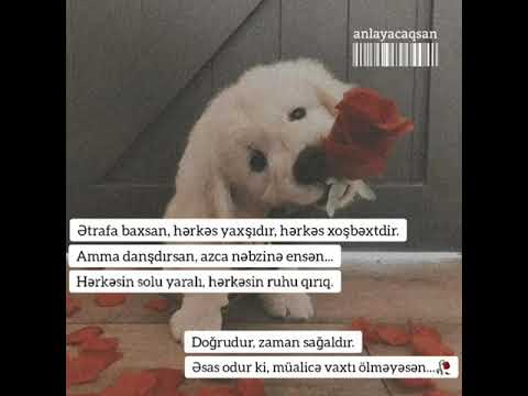 💔🥀🎶Whatsapp üçün statuslar,#Sounds app 2020,üzücü statuslar,mənalı videolar,Qemli videolar