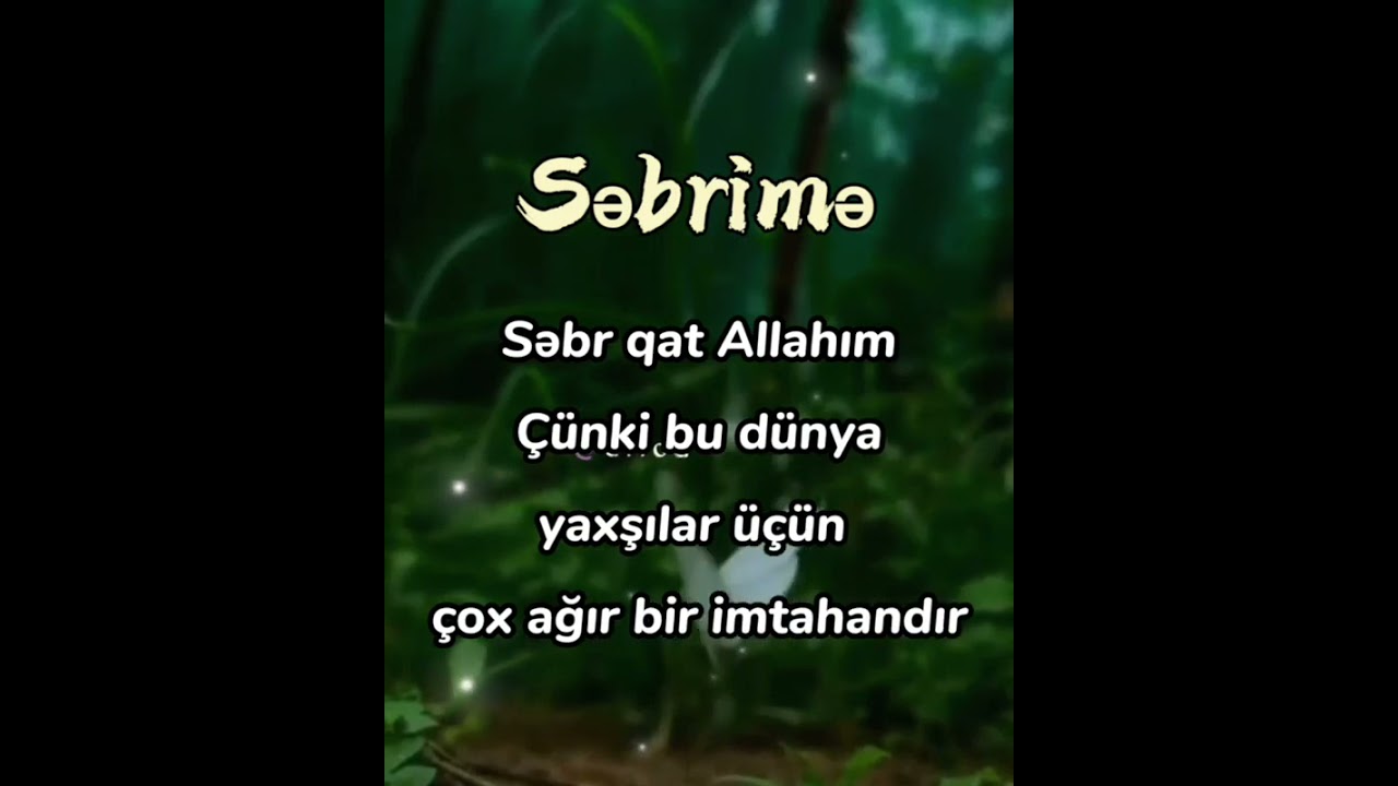 WhatsApp üçün yeni video və mahnı 2021 mp3 ‎@Novruz Heziyev 
