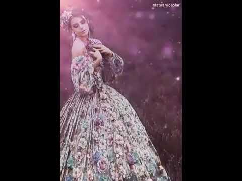 Whatsapp status ucun videolar ( qadina aid statuslar)