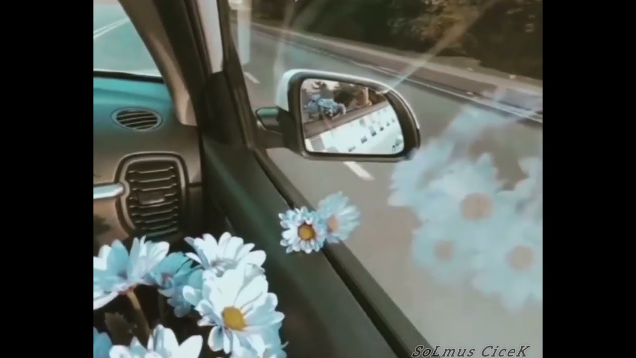 🌹🦋Whatsapp statuslari 2022 Sounds App Menali Sevgi Statuslari Qemli Sevgi Videolari 2022