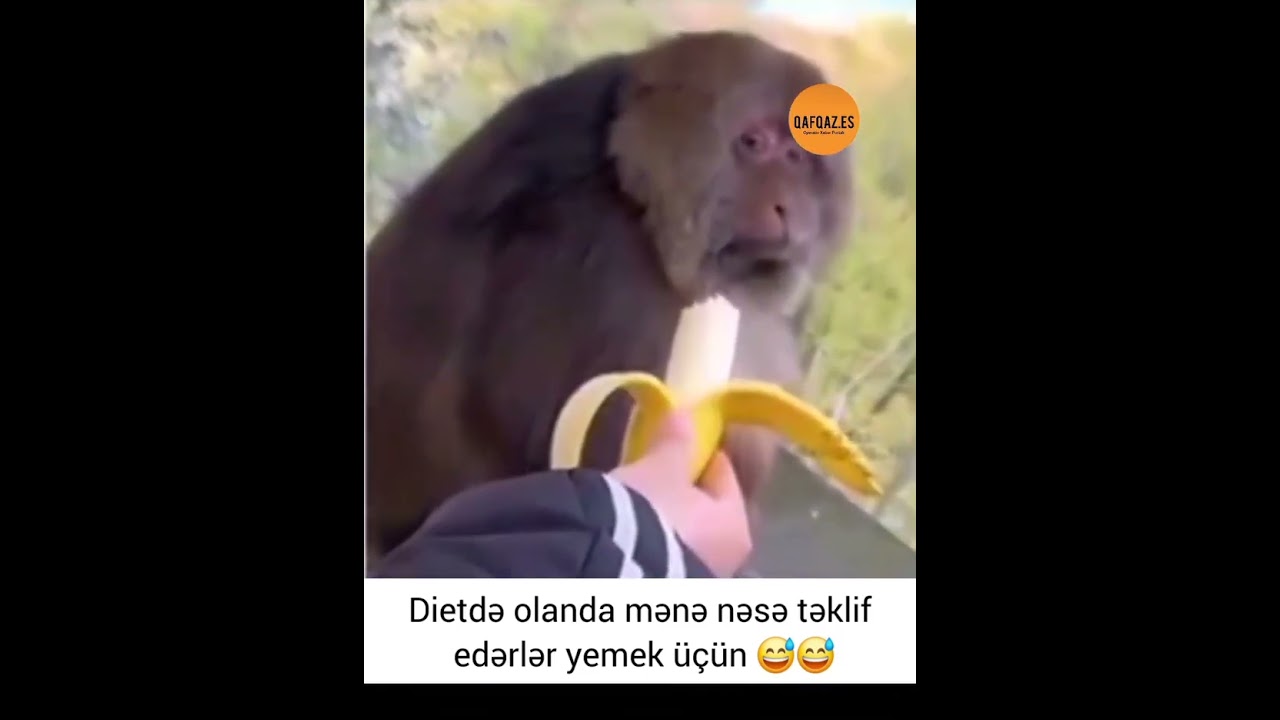 Whatsapp ucun maraqli, MƏNALI statuslar, status ucun sevgi videolari, QƏMLİ WHATSAPP STATUSLARI 2025