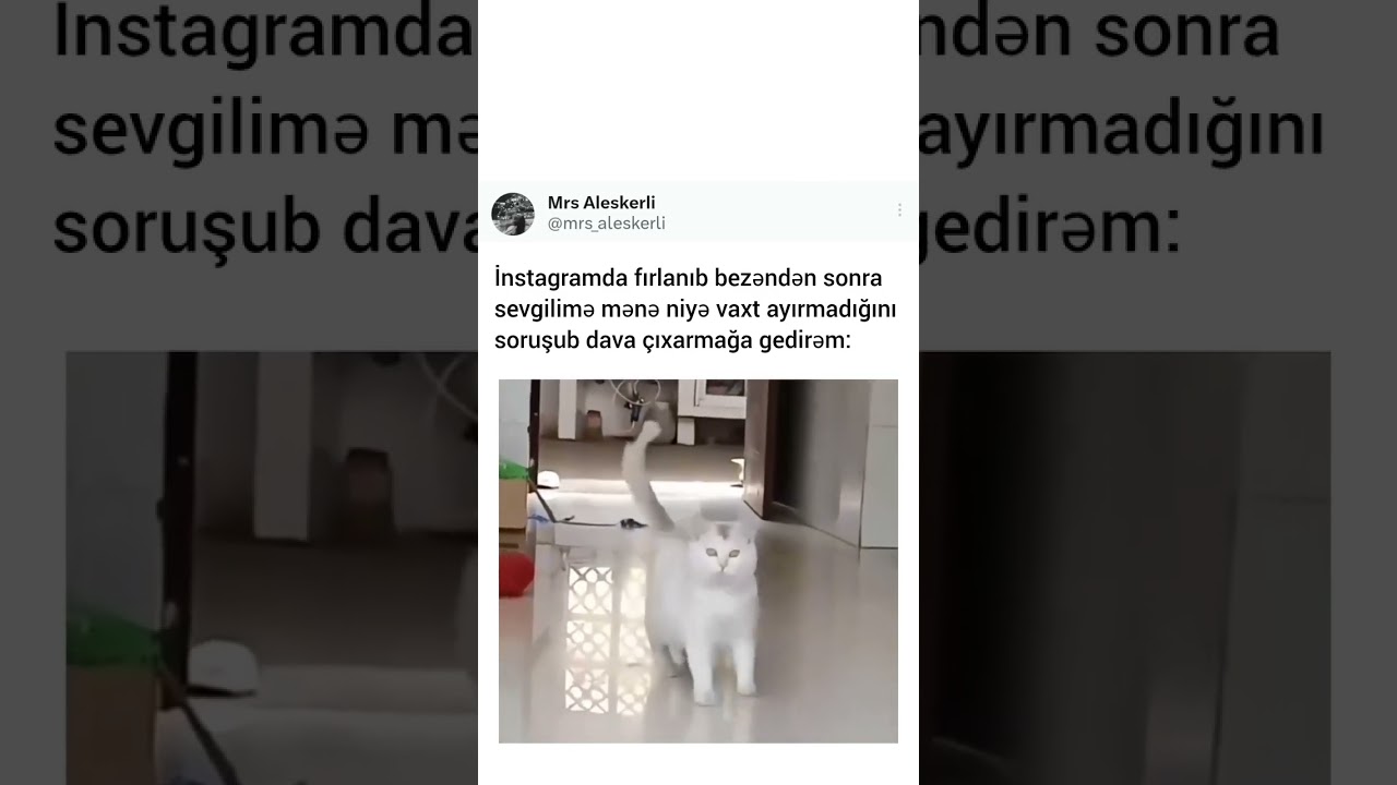 Whatsapp ucun maraqli, MƏNALI statuslar, status ucun sevgi videolari, QƏMLİ WHATSAPP STATUSLARI 2025