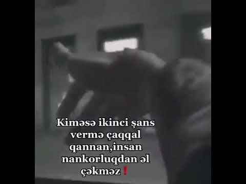 💔🥀Whatsapp ucun maraqli, MƏNALI statuslar, status ucun videolar, QƏMLİ WHATSAPP STATUSLARI 2022