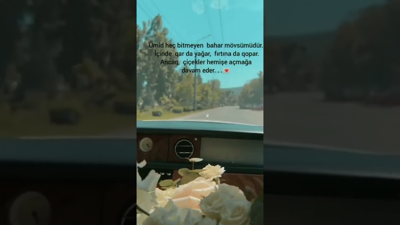 🤍🦋Whatsapp ucun Maraqli statuslar, qəmli video Sounds App 2022 Status ucun video,Menali video